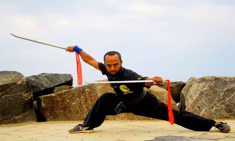 انواع سبک های کونگ فو