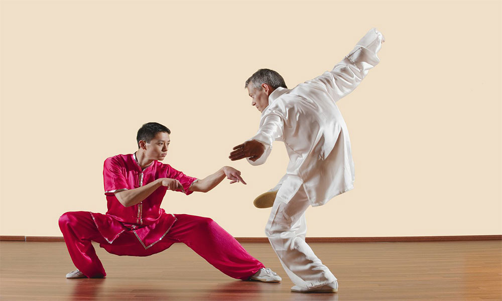 بهترین سبک کونگ فو کدام است؟